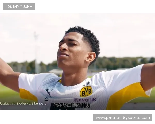 普鲁士多特蒙德俱乐部百年荣耀与青春风暴传奇之路德甲雄心路传奇