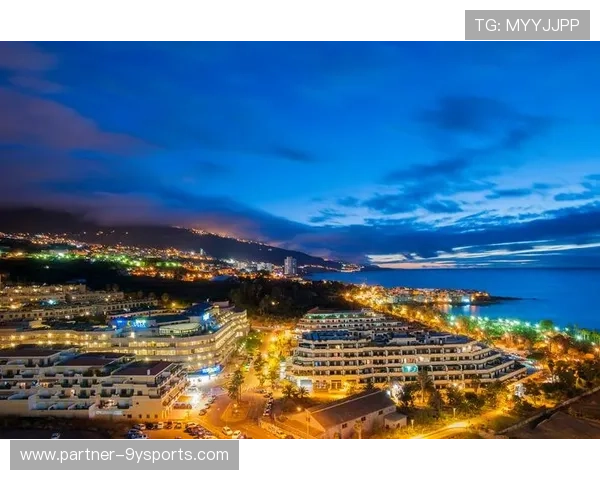 斯旺西足球俱乐部的辉煌历程与未来发展前景分析