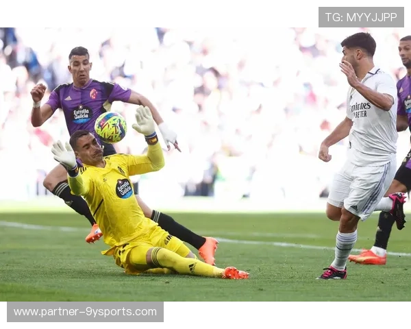 巴拉多利德俱乐部历史沿革与未来发展战略全面解析